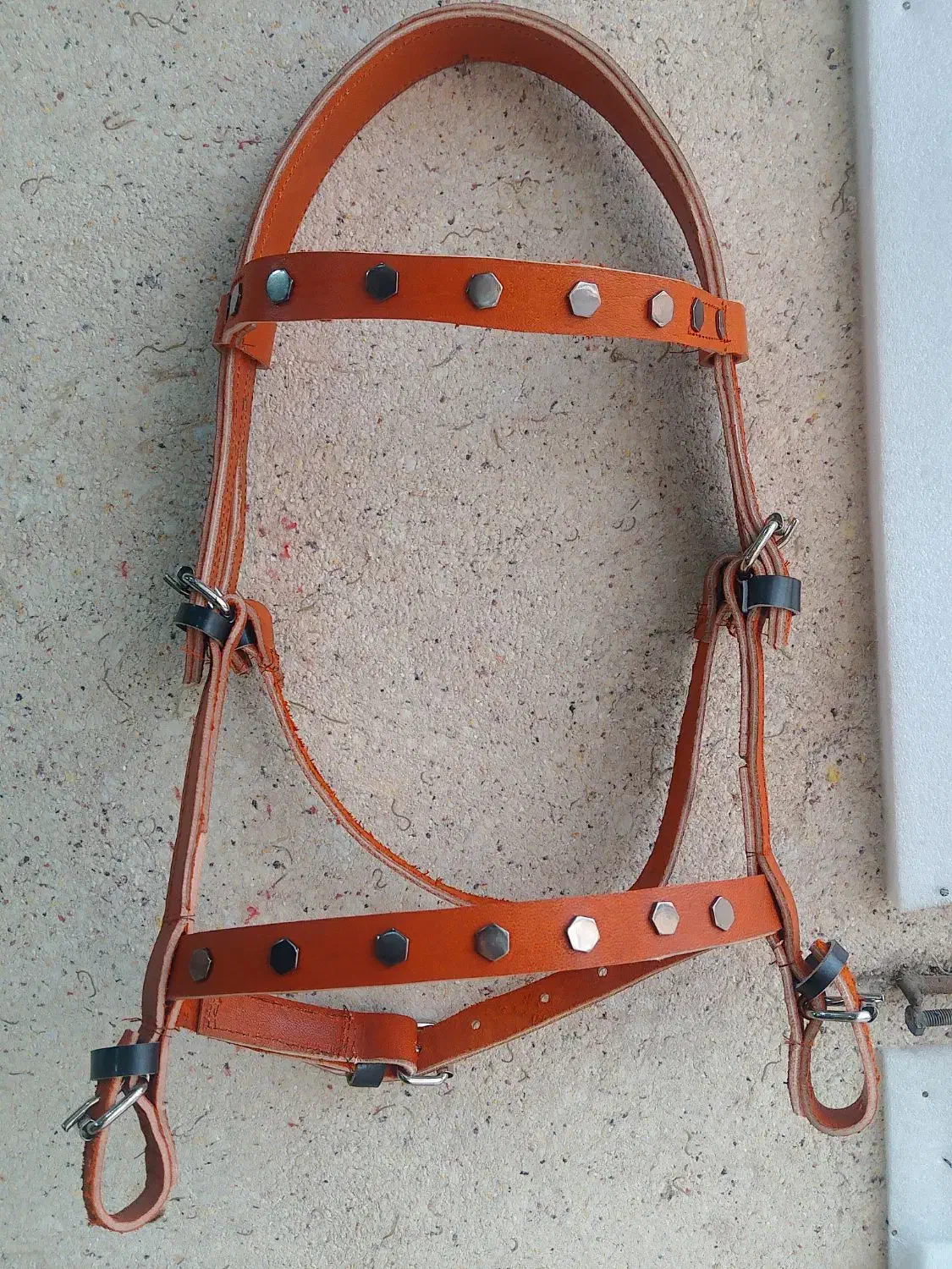 دهنه دست جلو|اسب و تجهیزات اسب‌سواری|مشهد, چهنو|دیوار