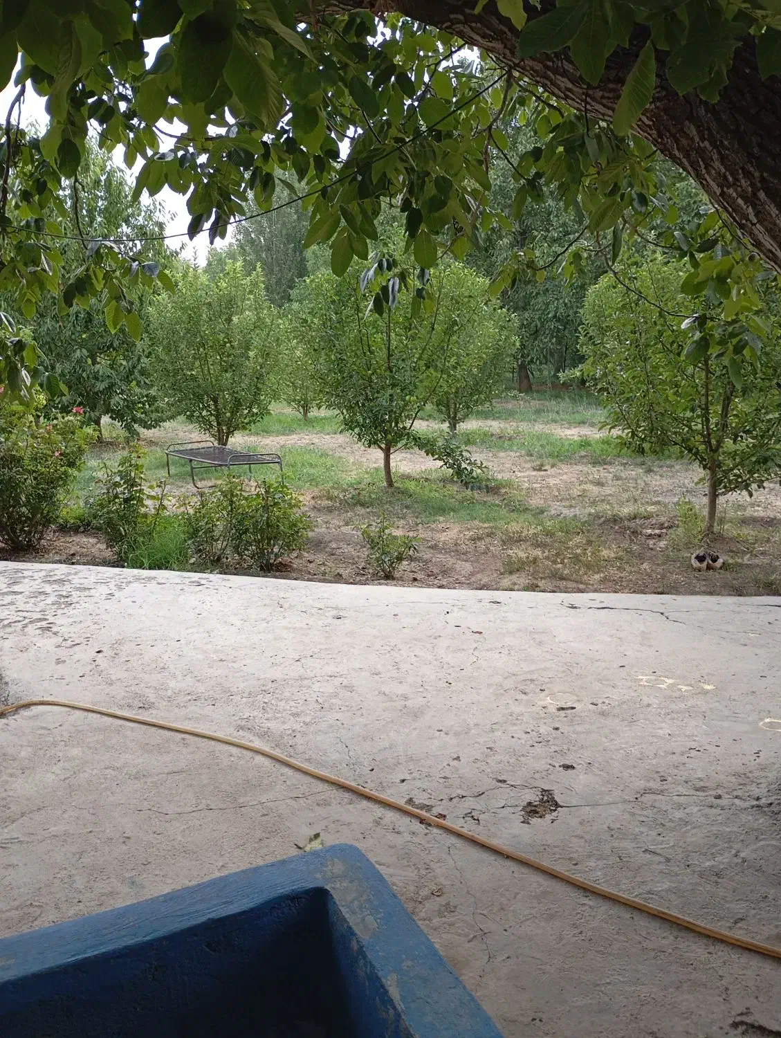 ویلا|فروش خانه و ویلا|نهاوند, |دیوار