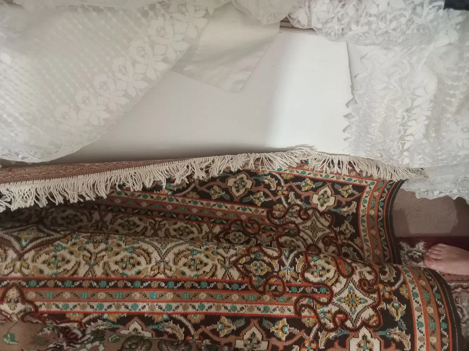 گلیم ۶متری|گلیم، جاجیم، گبه|گرگان, |دیوار