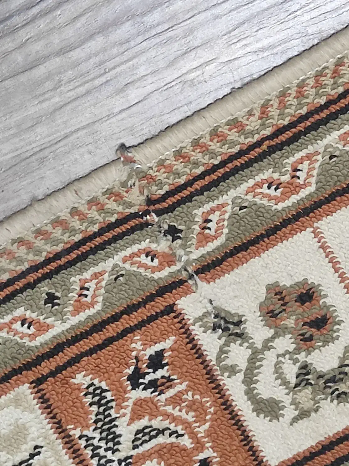 گلیم فرش|گلیم، جاجیم، گبه|شاهین‌شهر, عطار|دیوار