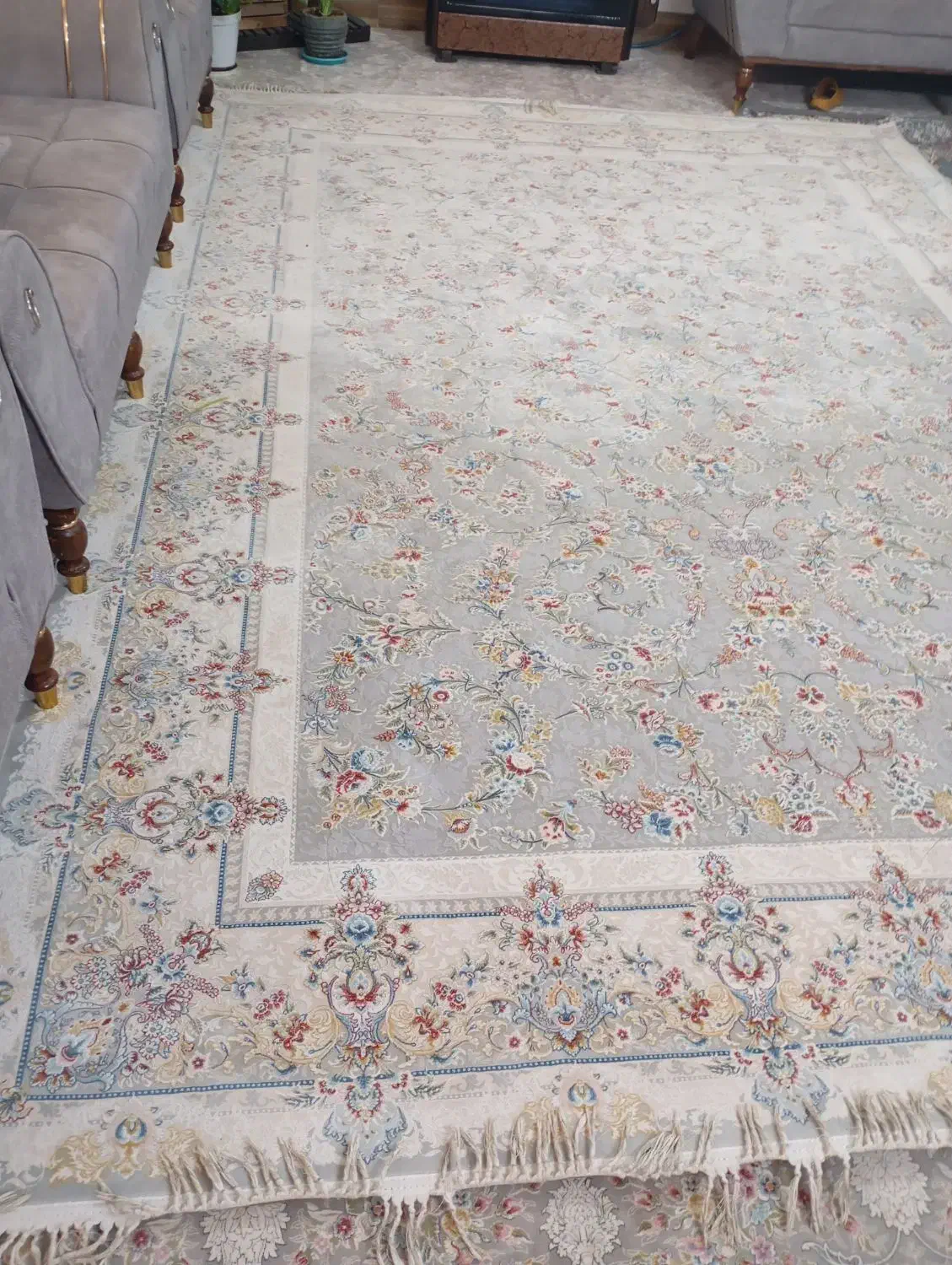 9متری افشان نخ عالی فیلی|فرش|کاشان, قطب راوندی|دیوار