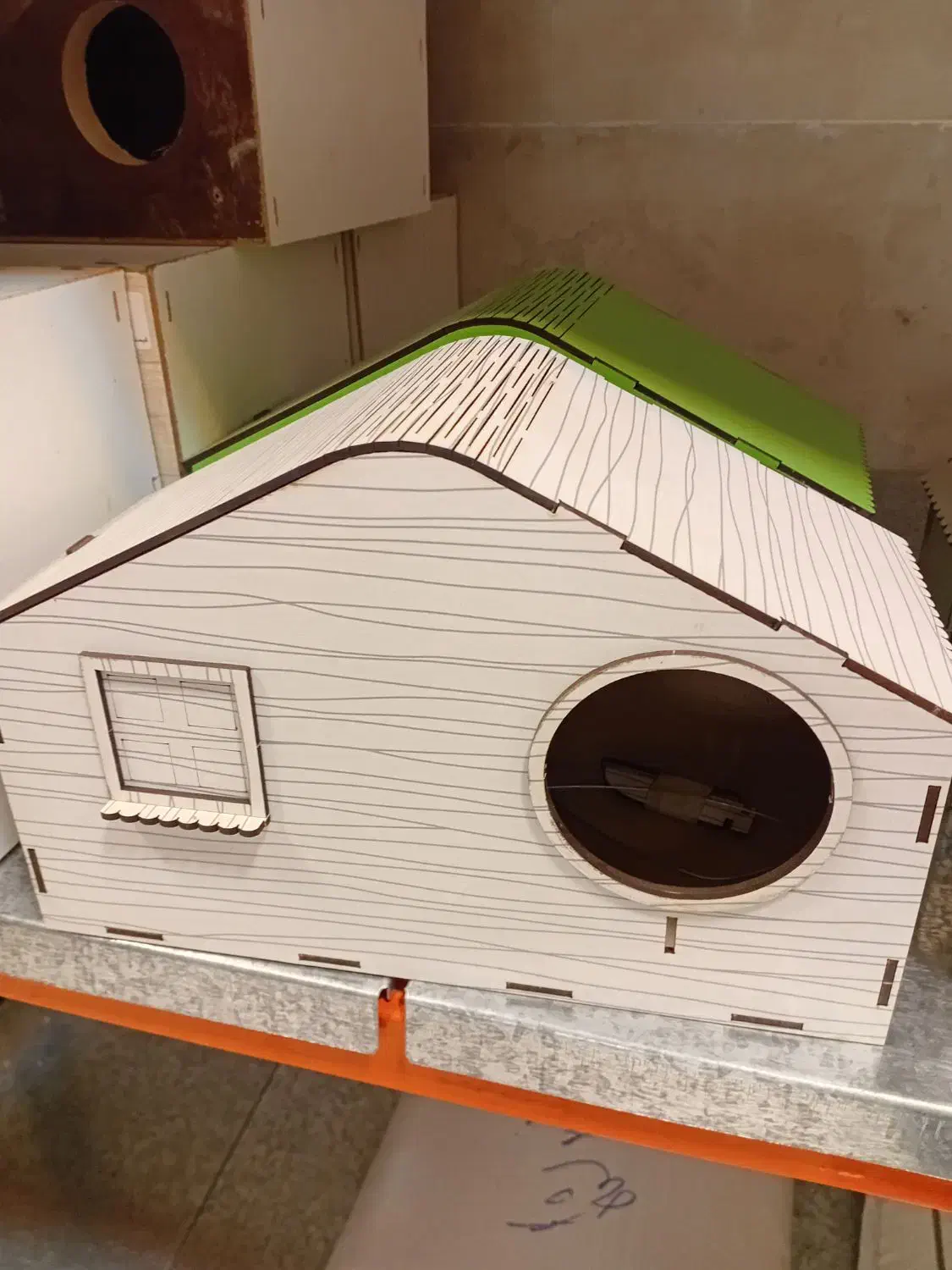 عروس هلندی،مرغ عشق،طوطی،انواع پرندگان زینتی|لوازم جانبی حیوانات|رباط‌کریم, رباط‌کریم|دیوار