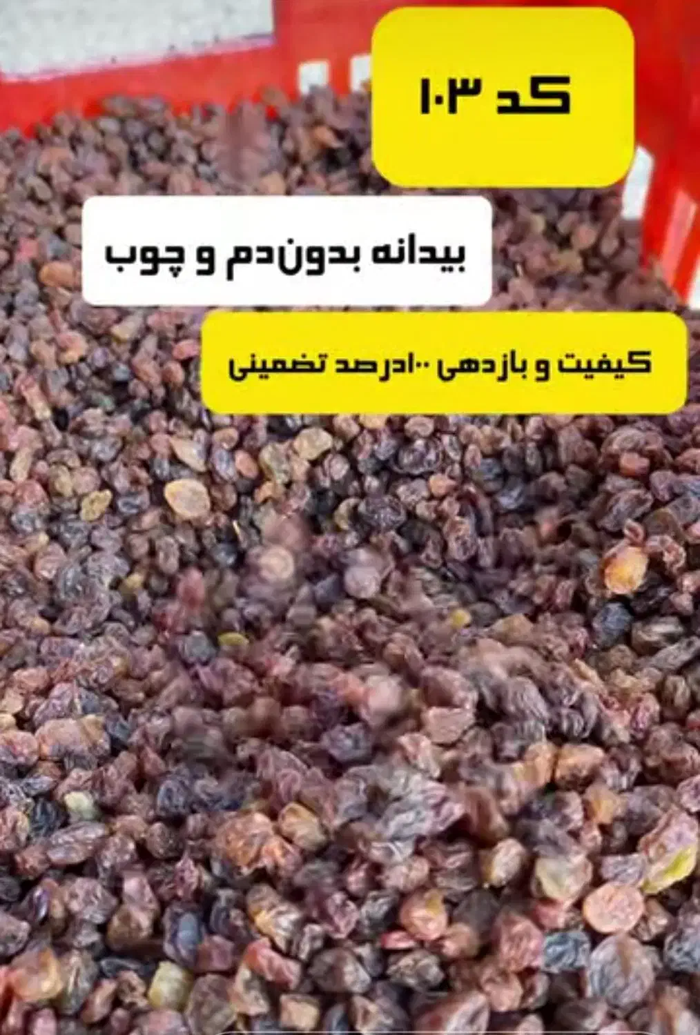 مویز کشمش بی دانه کشمش پلویی و...|خوردنی و آشامیدنی|اصفهان, بهرام‌آباد|دیوار