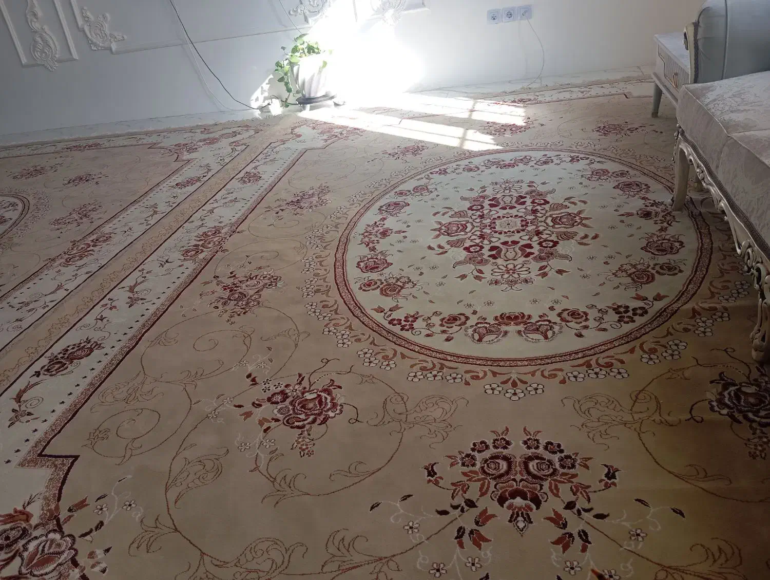 فرش حوض نقره|فرش|اردبیل, |دیوار