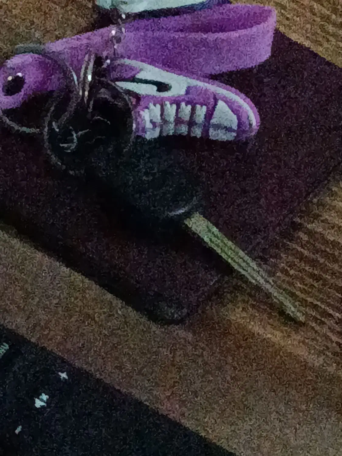 سوییچ تویوتا گم شده|اشیا|قشم, |دیوار