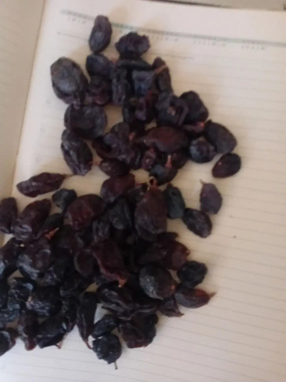 کشمش|عمدهفروشی|تاکستان, |دیوار