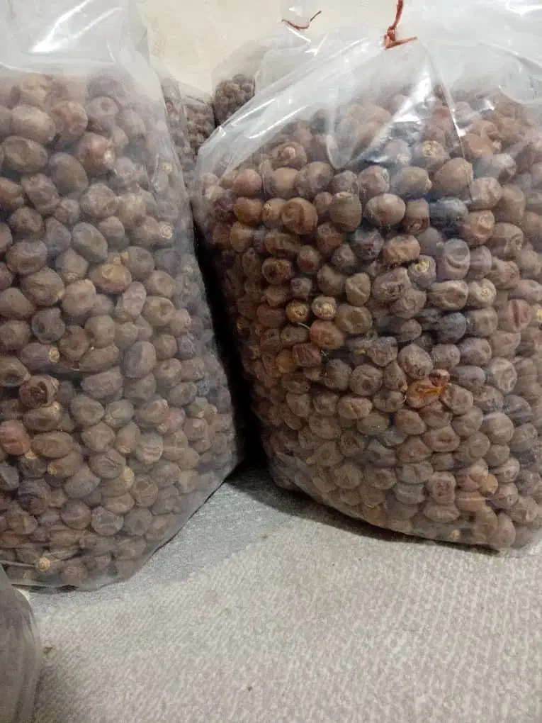 خرما بصورت عمده و کیلوی|خوردنی و آشامیدنی|قم, جمکران|دیوار