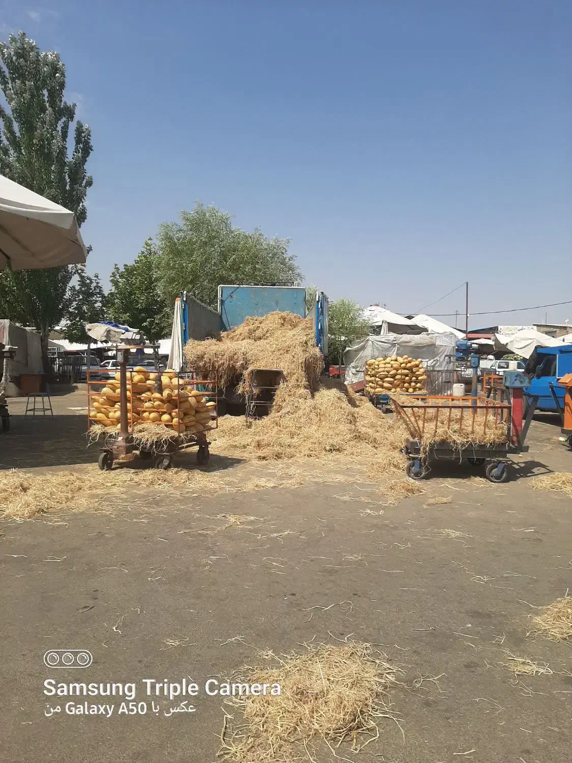 مغازه در میدان میوه و تره بار خوی حجره ۶۲|فروش مغازه و غرفه|خوی, |دیوار