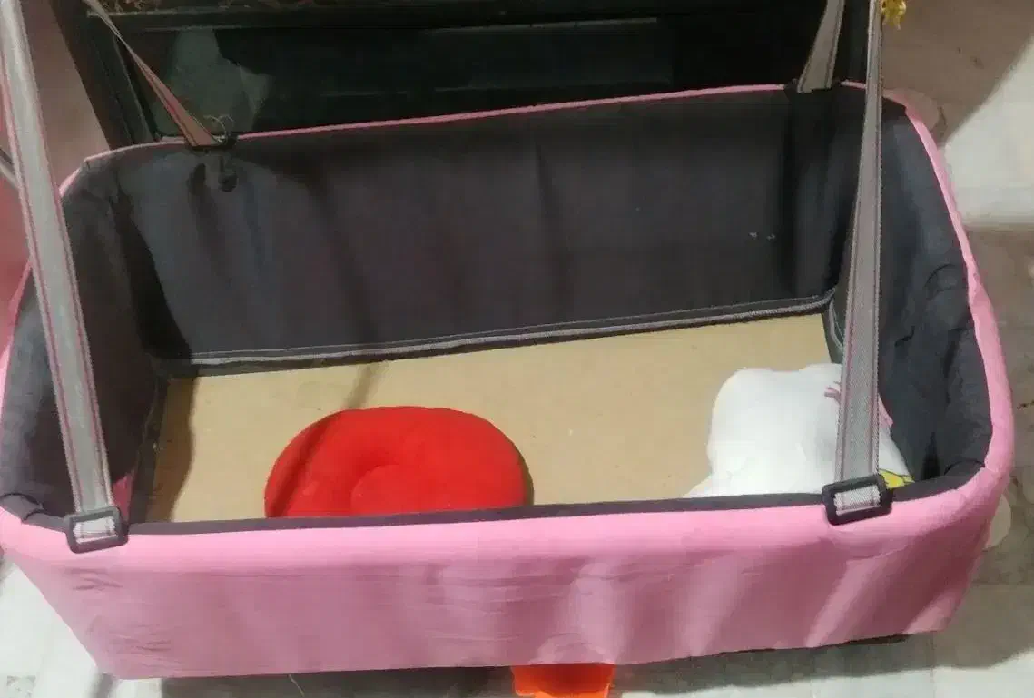 گهواره|اسباب و اثاث بچه|گلپایگان, |دیوار