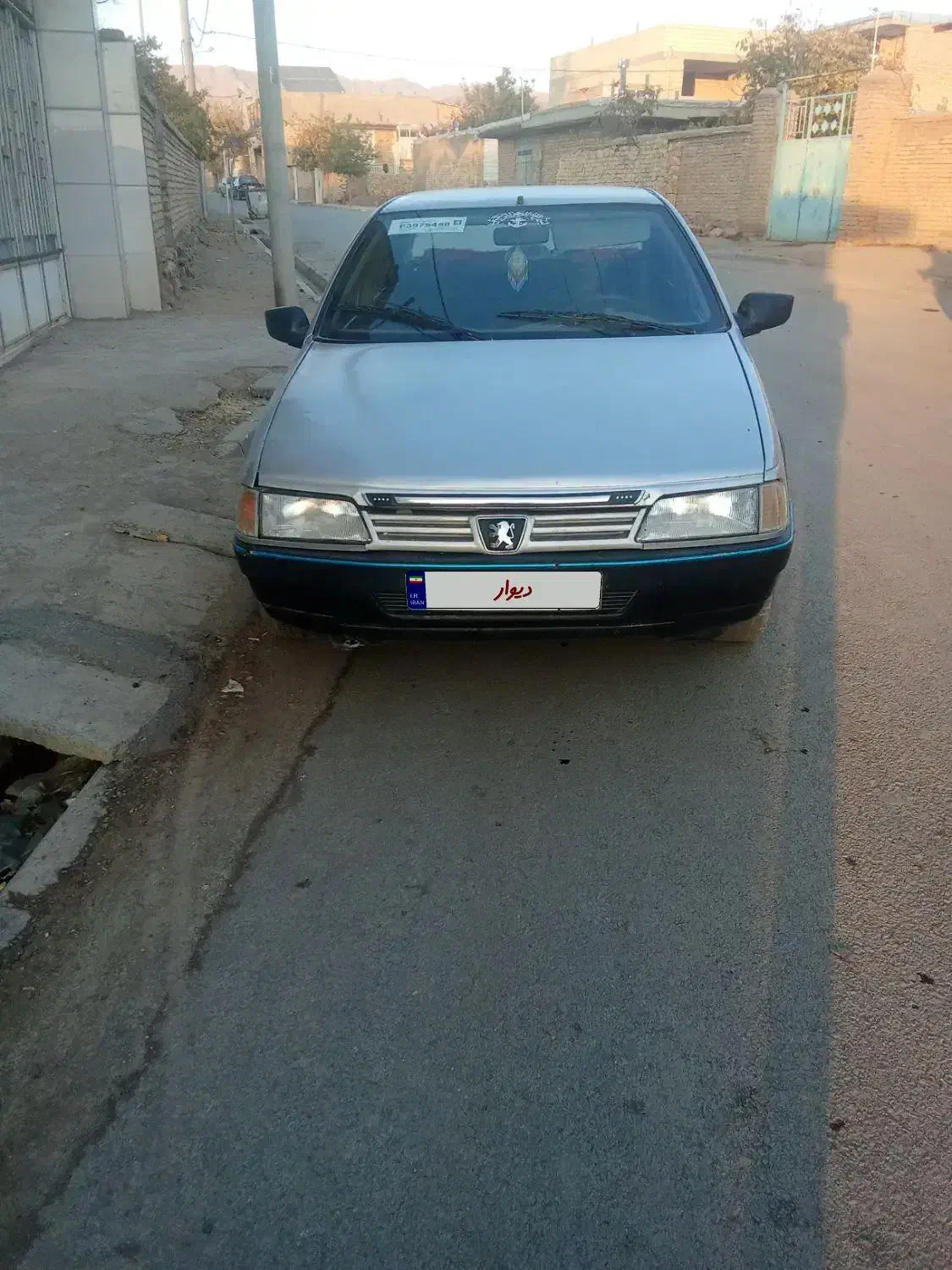 پزو روا نقره ای|خودرو سواری و وانت|زنده رود, |دیوار