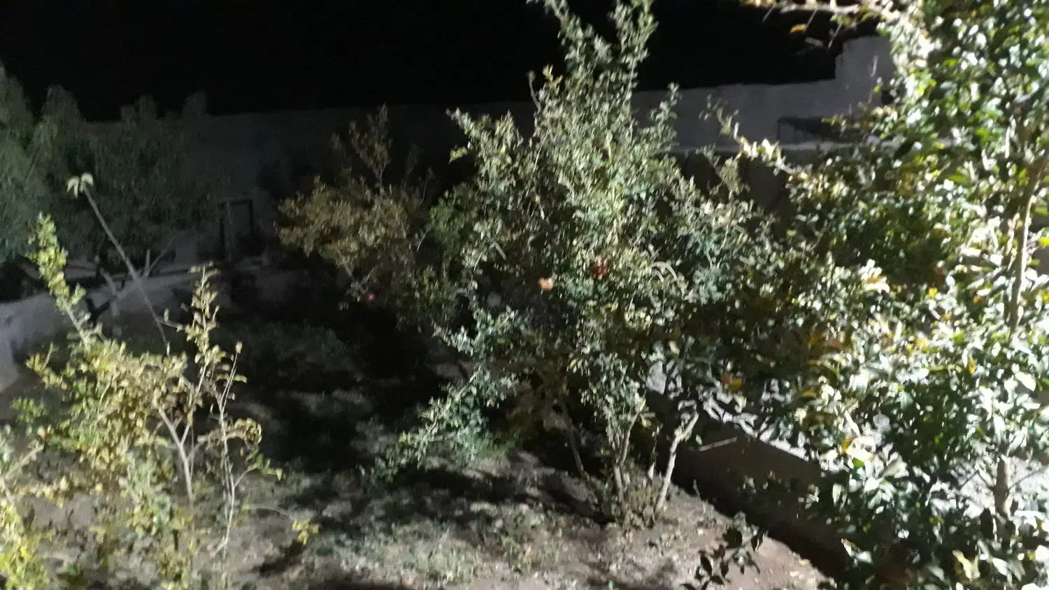 خونه باغ ودامداری|فروش دفتر صنعتی، کشاورزی، تجاری|گالیکش, |دیوار