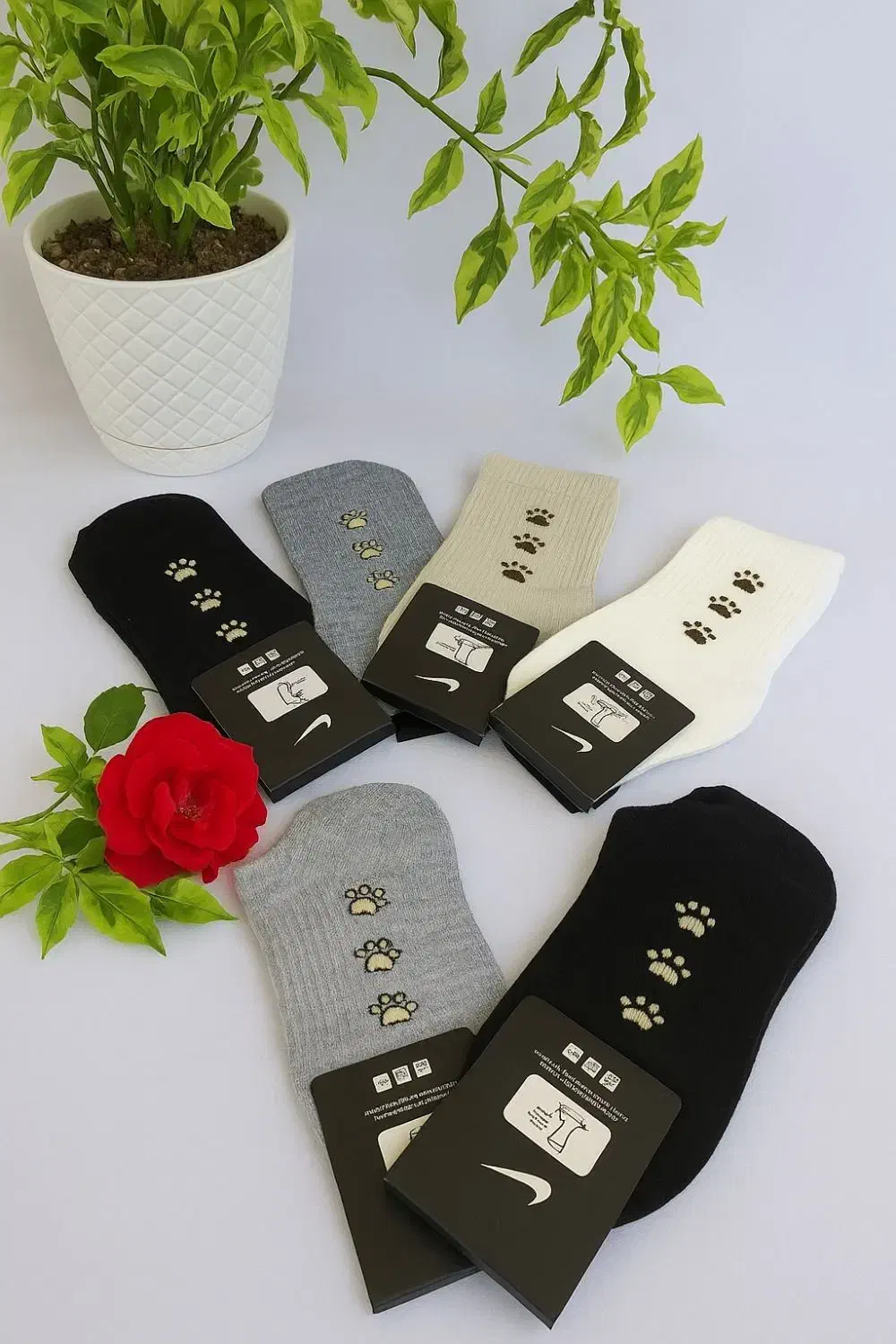 جوراب زنانه|لباس|سنگر, |دیوار