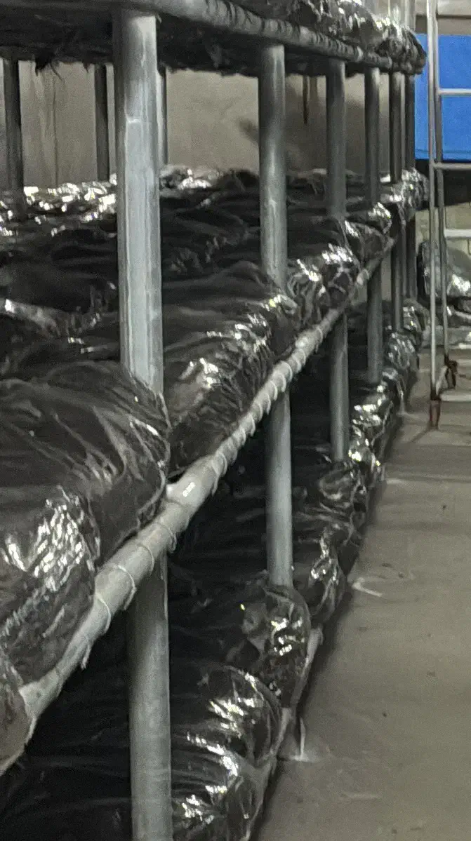 سالن کار پرورش قارچ|استخدام صنعتی، فنی، مهندسی|الشتر, |دیوار