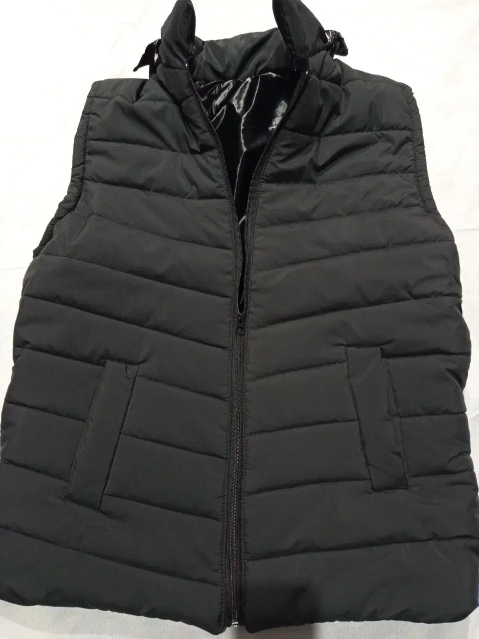 قناری|پرنده|سرپل ذهاب, |دیوار