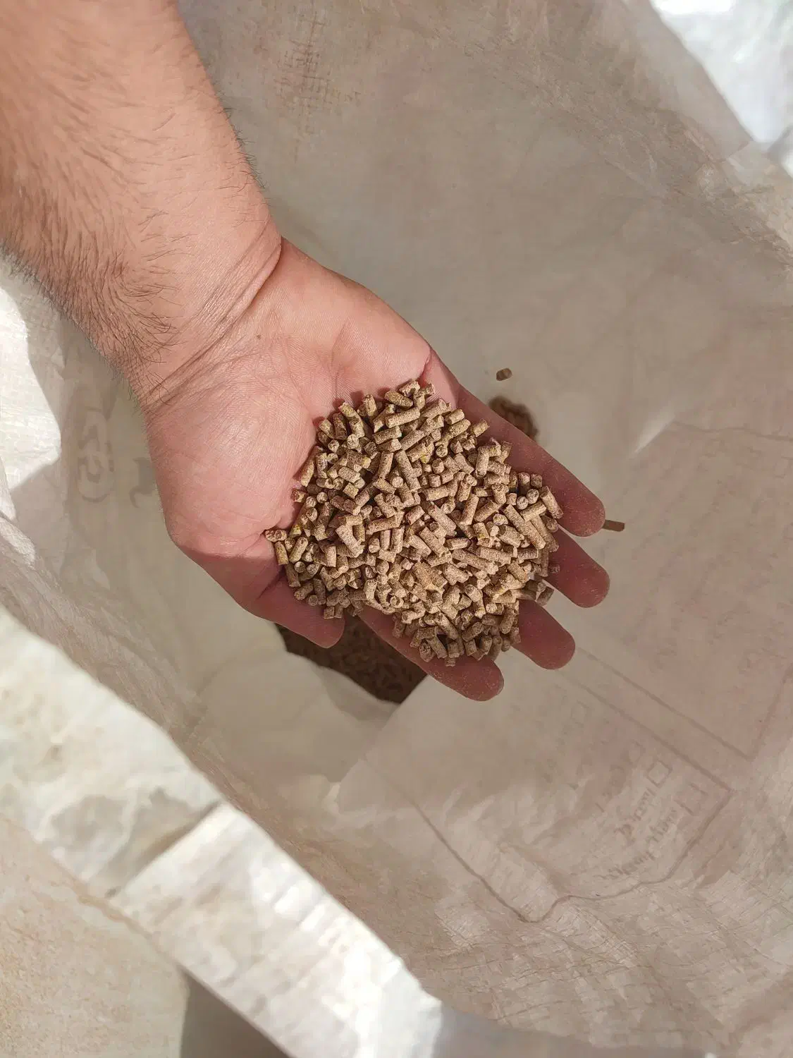 دان مرغ|لوازم جانبی حیوانات|باغستان, |دیوار