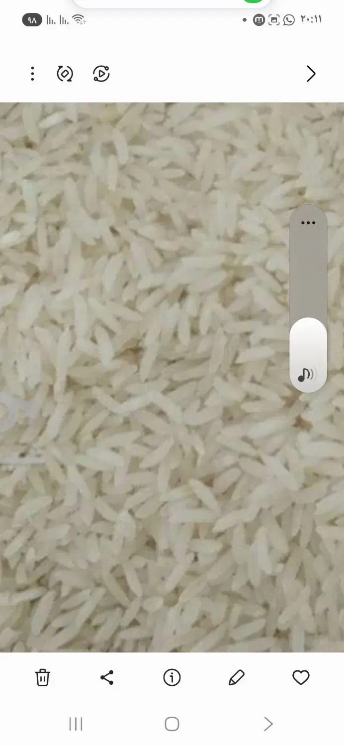 برنج هاشمی ۲۷۵و لاشه ۱۷۵و فجر سوزنی ۱۷۶ت|خوردنی و آشامیدنی|بابکان, |دیوار