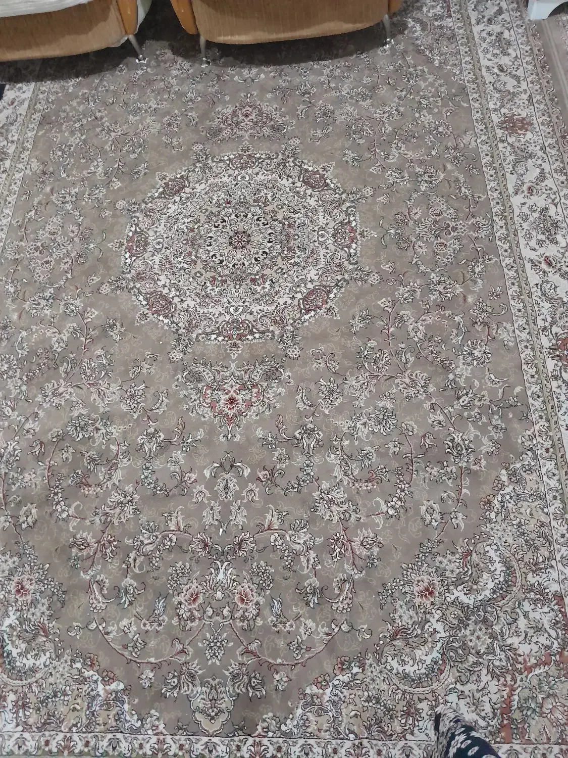 فرش های۷۰۰شانه|فرش|رشت, شهرک صبا|دیوار