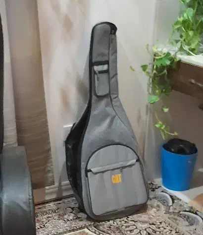 گیتار  موسیقی  ساز|گیتار، بیس، امپلیفایر|اسلام‌شهر, شهرک سعیدیه|دیوار