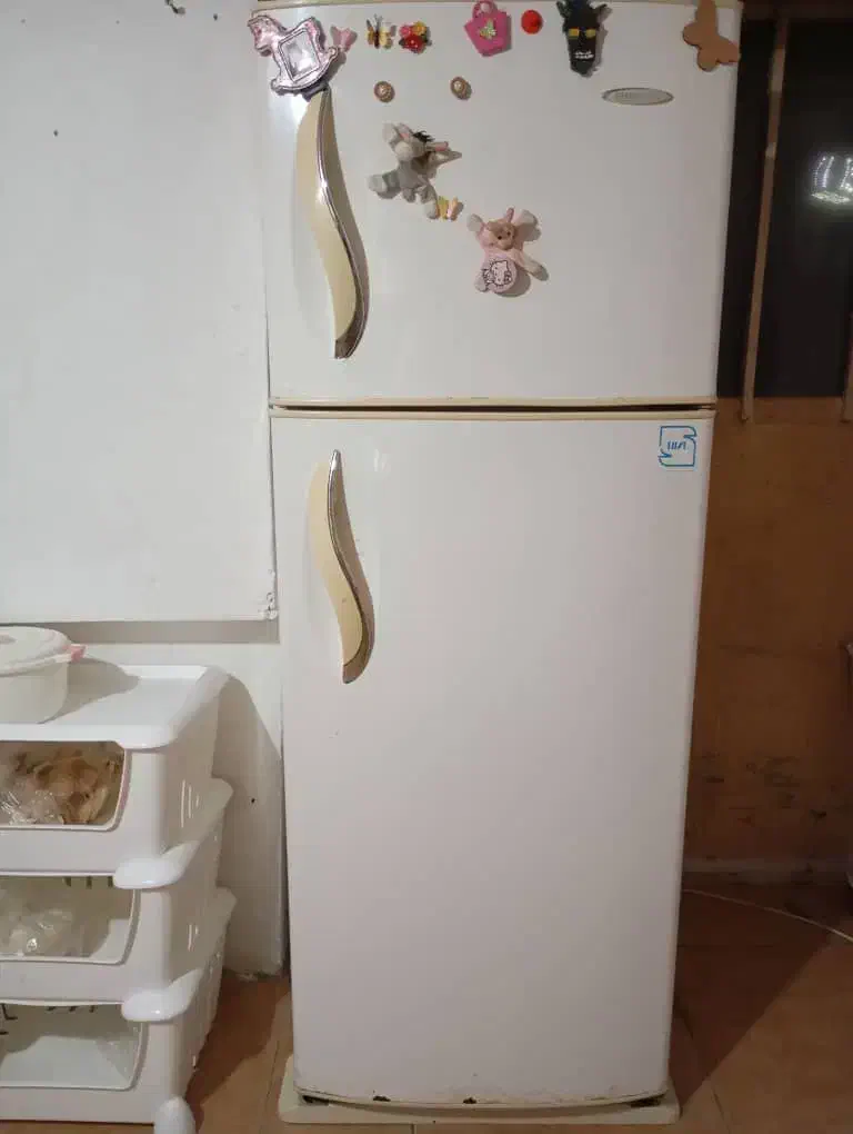 تلویزیون TCL و یخچال دو در سالم|تلویزیون و پروژکتور|سنگر, |دیوار