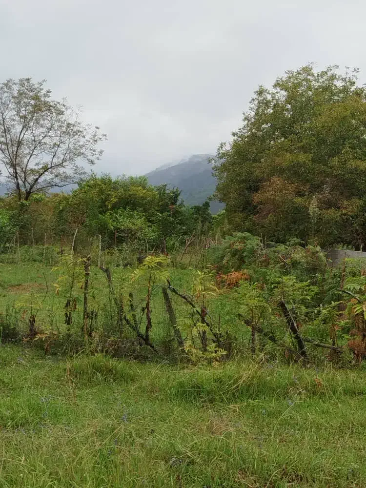 فروش زمین مسکونی با پروانه ساخت|فروش زمین و ملک کلنگی|شاندرمن, |دیوار