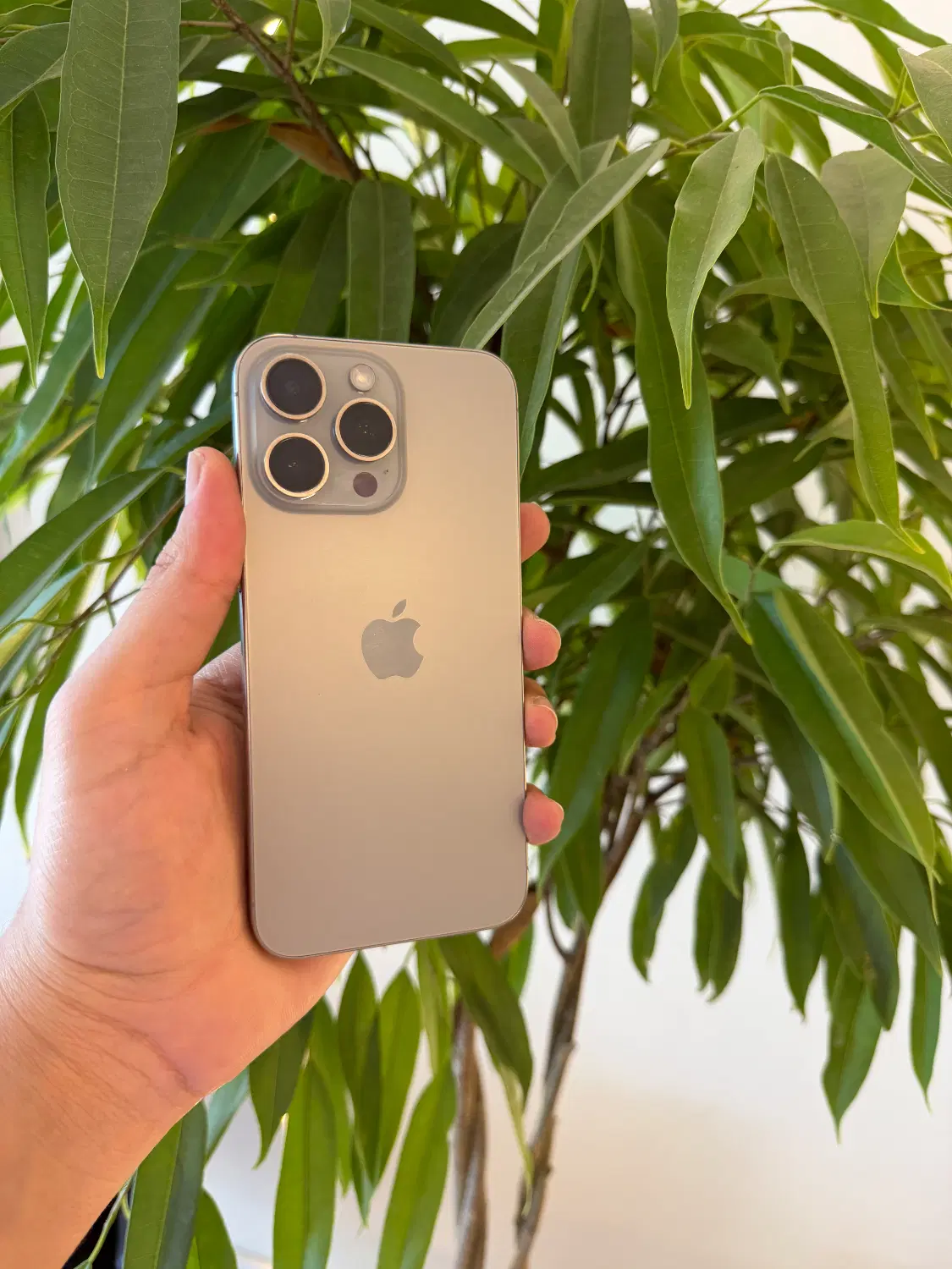 iphone 15 max 256 نقد اقساط در فروشگاه اپل ارتباط|موبایل|مشهد, احمدآباد|دیوار