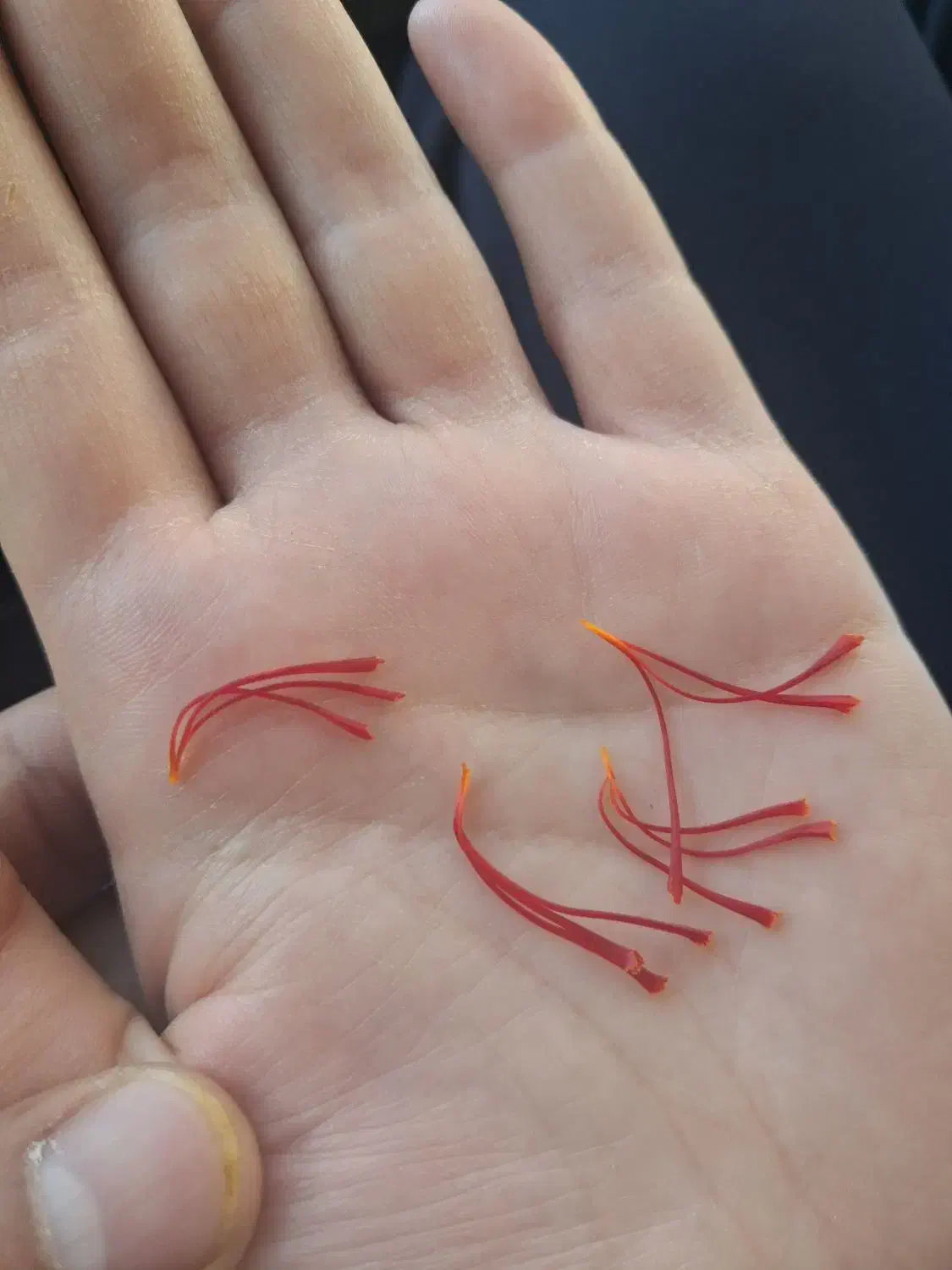 زعفران|خوردنی و آشامیدنی|کاکاوند, |دیوار