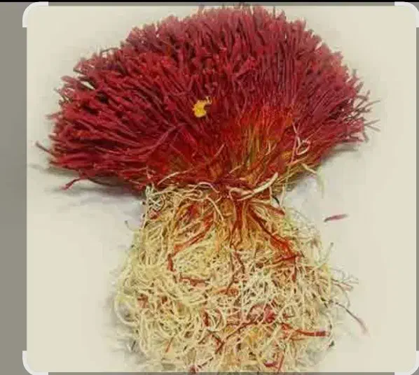 زعفران طبیعی خشک (بهاباد)،صادراتی ،هل اکبر بنفش|خوردنی و آشامیدنی|یزد, |دیوار