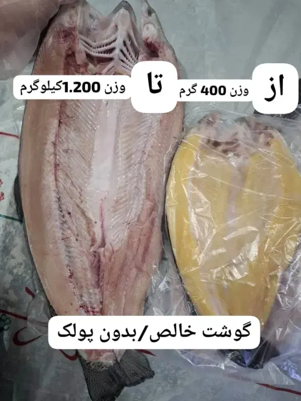 ماهی قزل الا پرورشی سوسن سرخاب پاک شده کیلو390|ماهی|مسجد سلیمان, |دیوار