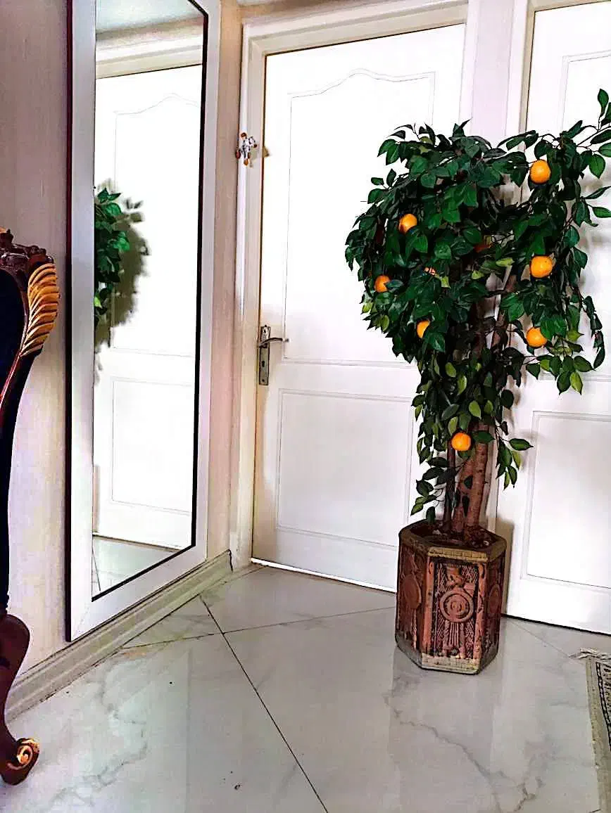 هر کدام یک میلیون|گل مصنوعی|تهران, تاکسیرانی|دیوار