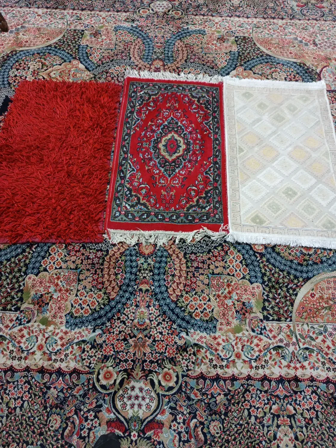 فرش وپادری|فرش|گرگان, |دیوار