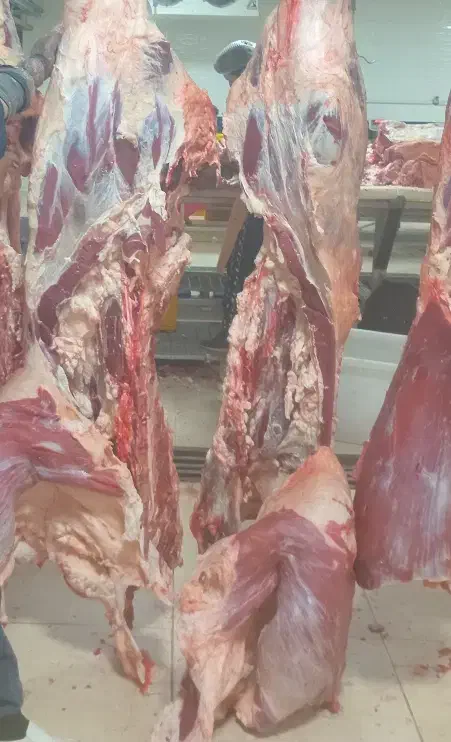 قصاب ماهر بیخسکار گوساله|استخدام خدمات فروشگاه و رستوران|شهریار, شهرک بهاران (ویره)|دیوار