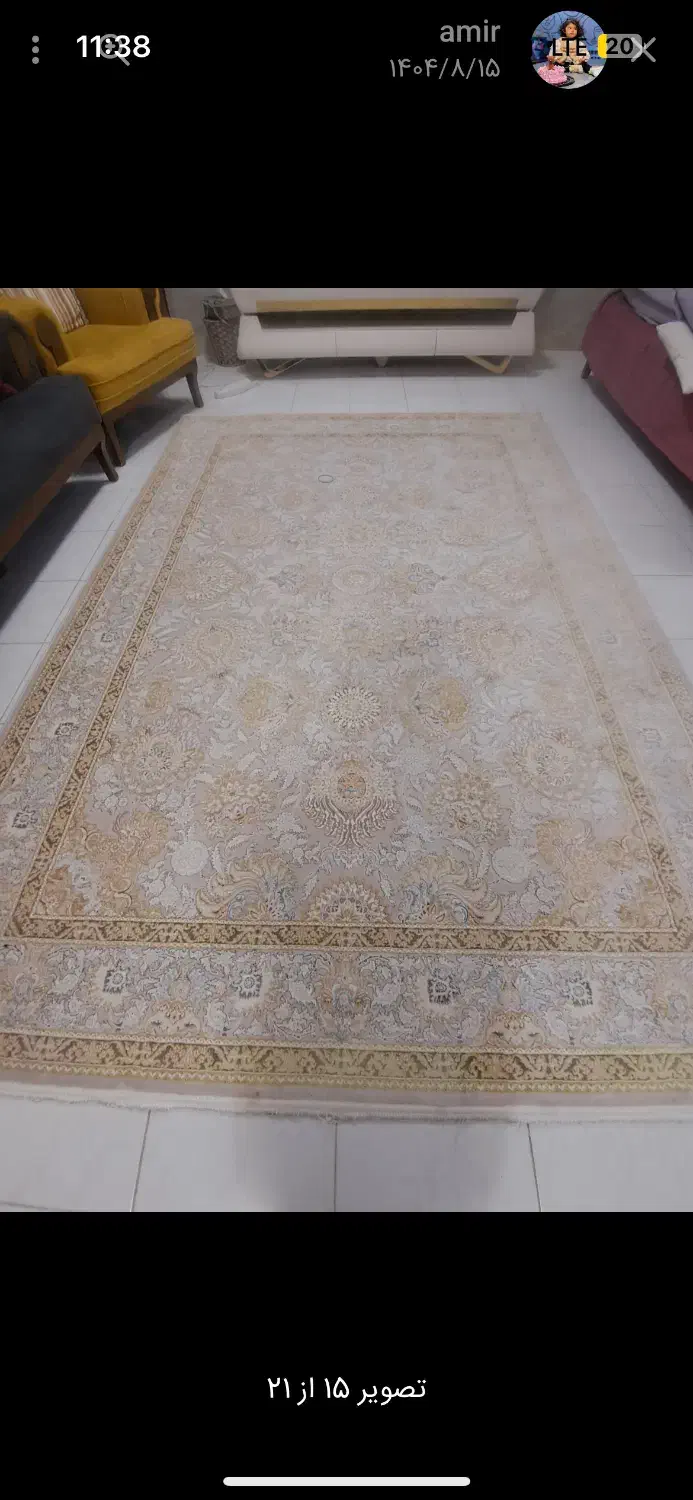 دوتخته فرش شاه عباسی|فرش|کرمانشاه, |دیوار