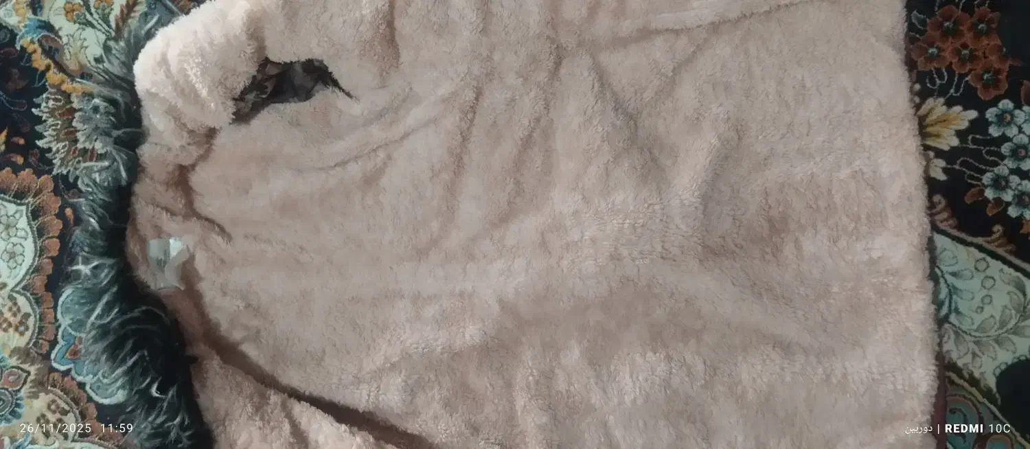 پالتو|لباس|بیرجند, |دیوار