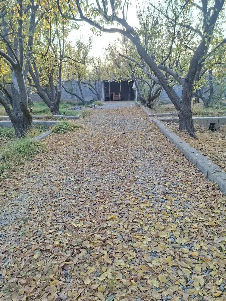 باغچه چهاردیواری ۱۵۰۰ متری در فردوسیه|فروش زمین و ملک کلنگی|فردوسیه, |دیوار