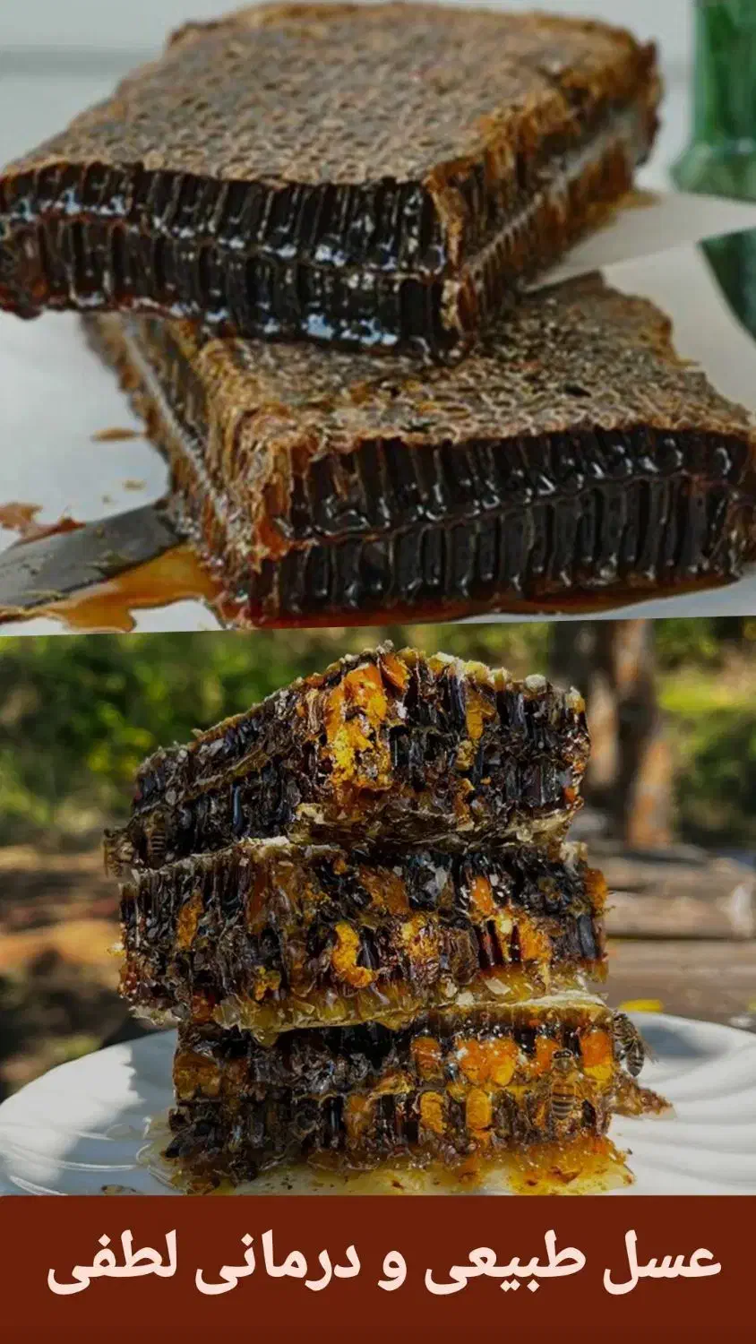 عسل گرده دار وحشی. درمانی قلعه بابک .سحراما|خوردنی و آشامیدنی|تبریز, |دیوار