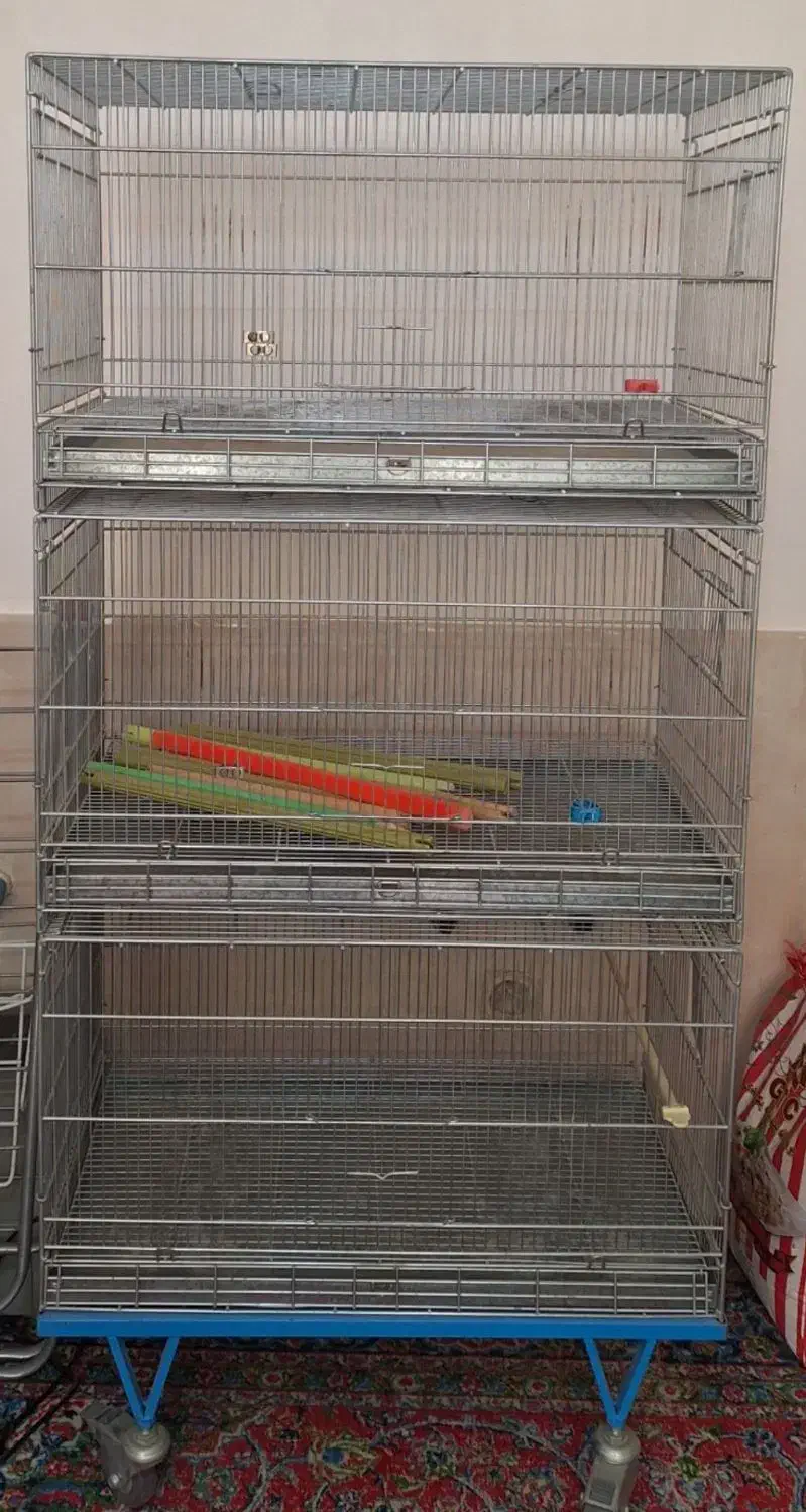 قفس غلامی سایز 75|لوازم جانبی حیوانات|لالجین, |دیوار