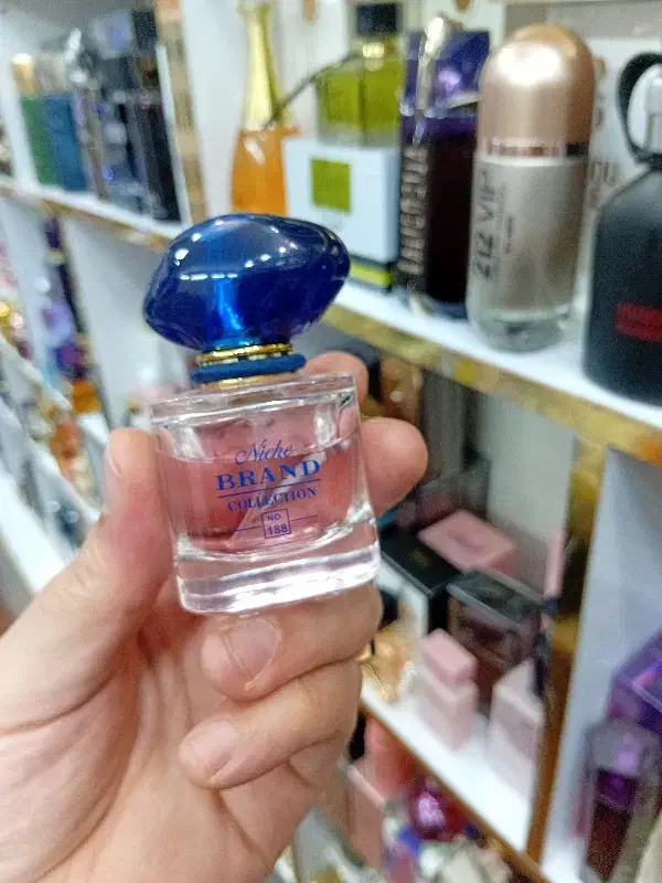 دنیای مینیاتوری|آرایشی، بهداشتی، درمانی|رشت, دیلمان|دیوار