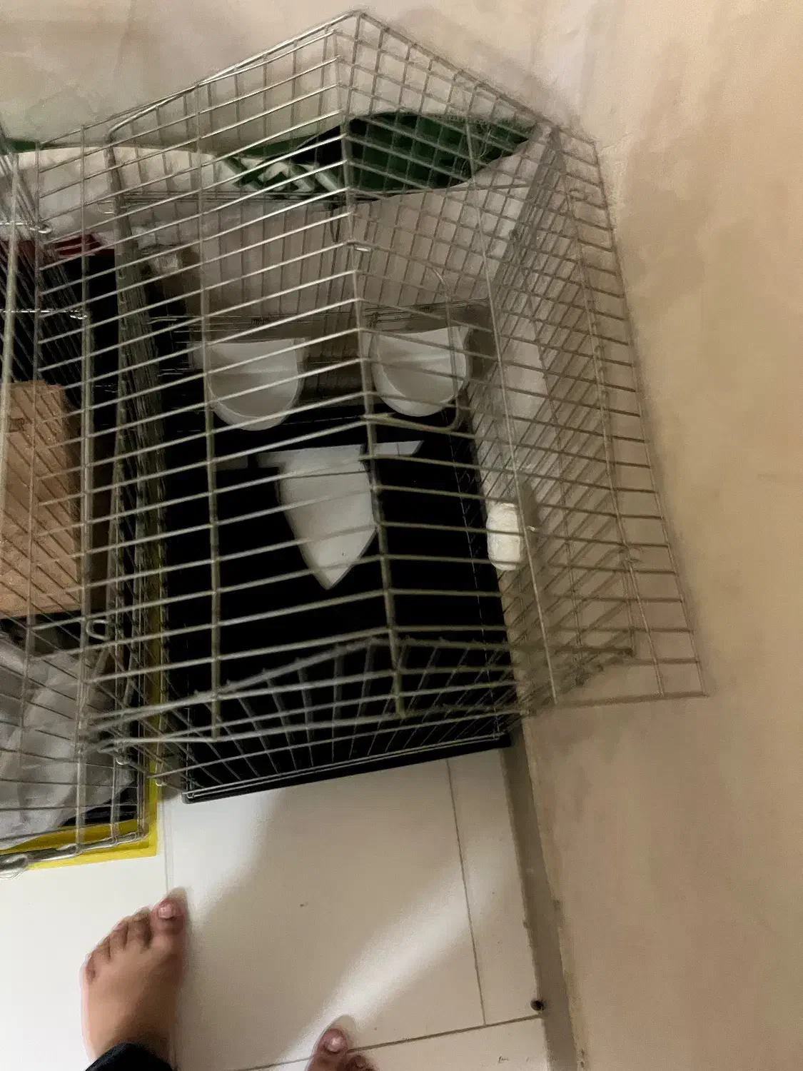 قفس|لوازم جانبی حیوانات|تهران, هاشمی|دیوار