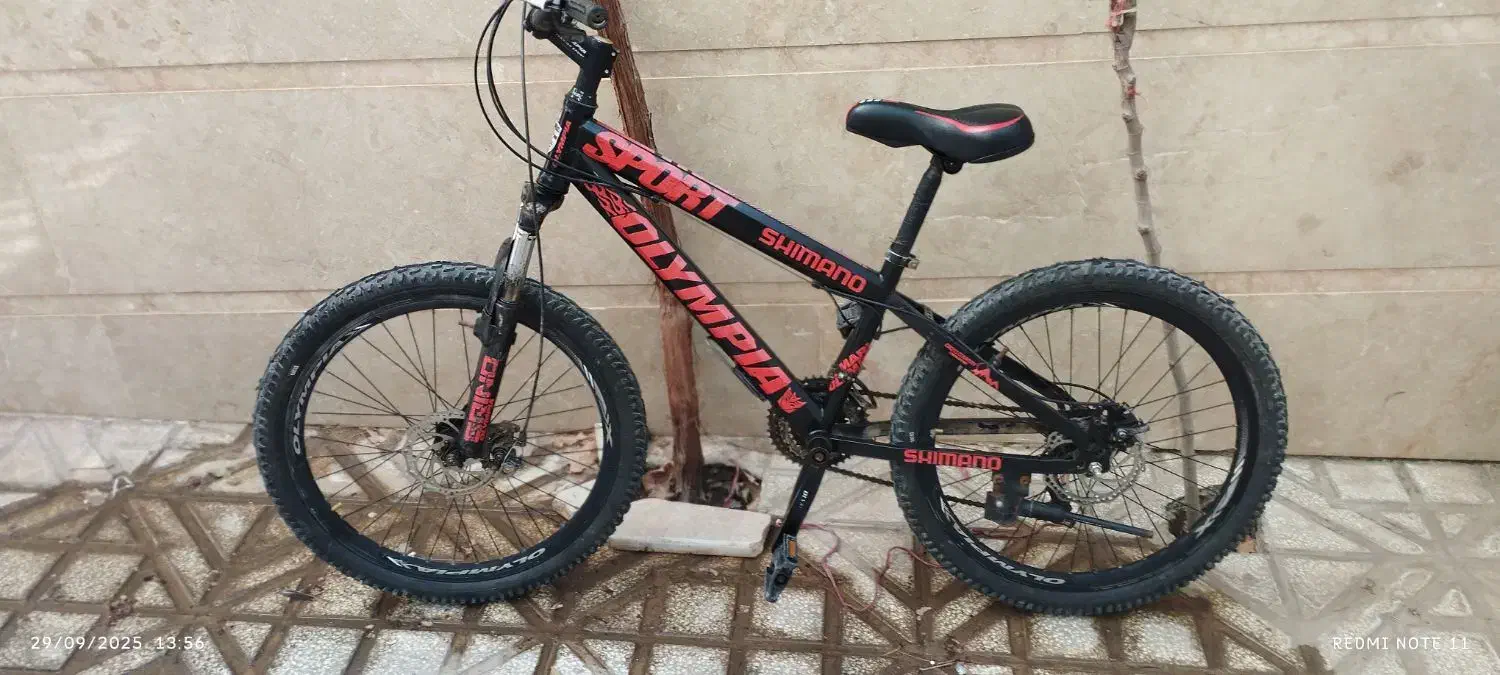 دوچرخه 24|دوچرخه، اسکیت، اسکوتر|سبزوار, جنت|دیوار