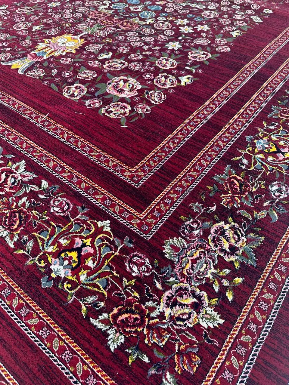 سرو لاکی .نقد واقساط/تعویض فرش نو وکهنه ۷۰۰شانه|فرش|صدرا-فارس, فاز ۱|دیوار