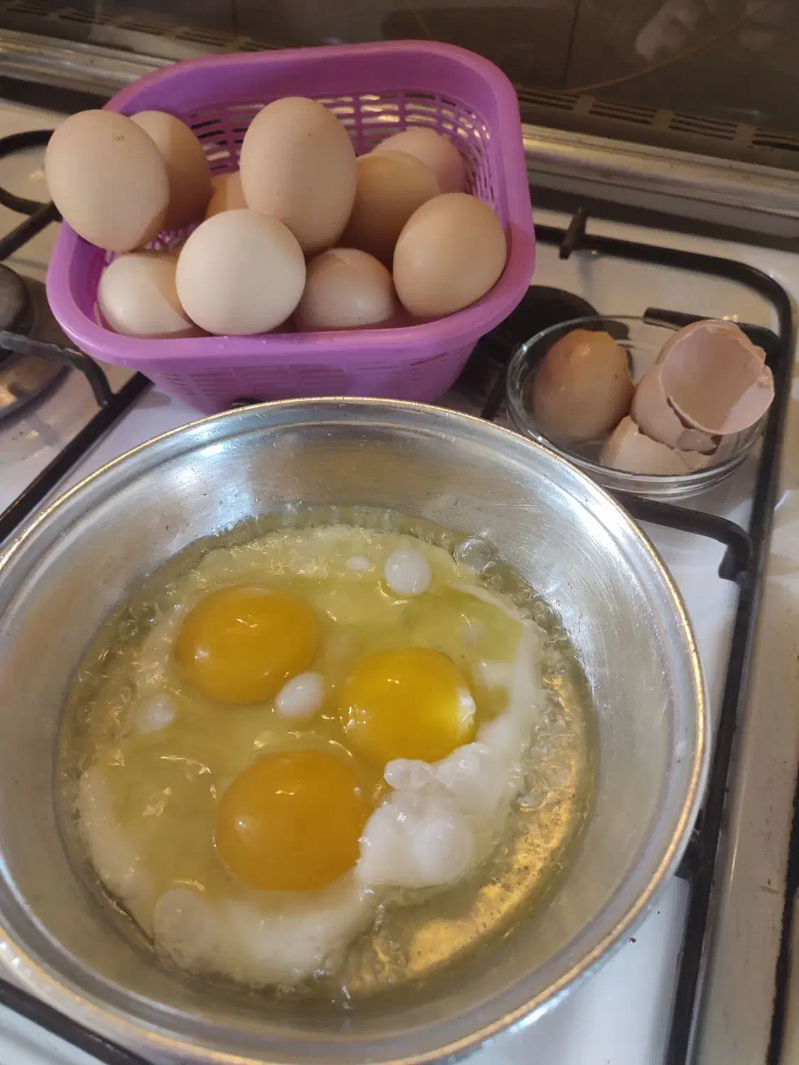 پخش عمده تخم مرغ محلی|خوردنی و آشامیدنی|تهران, جیحون|دیوار