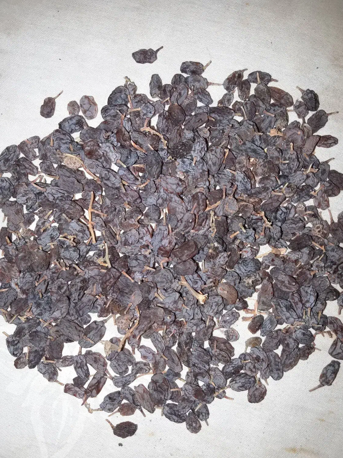 کشمش آفتابی|خوردنی و آشامیدنی|تهران, راه آهن|دیوار