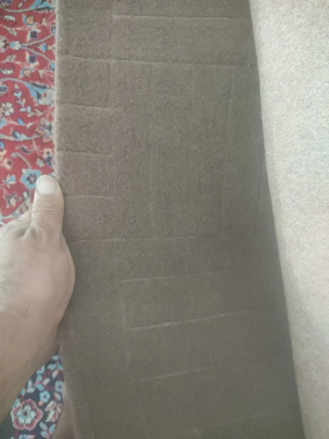 موکت|موکت|نیشابور, دانشگاه نیشابور|دیوار