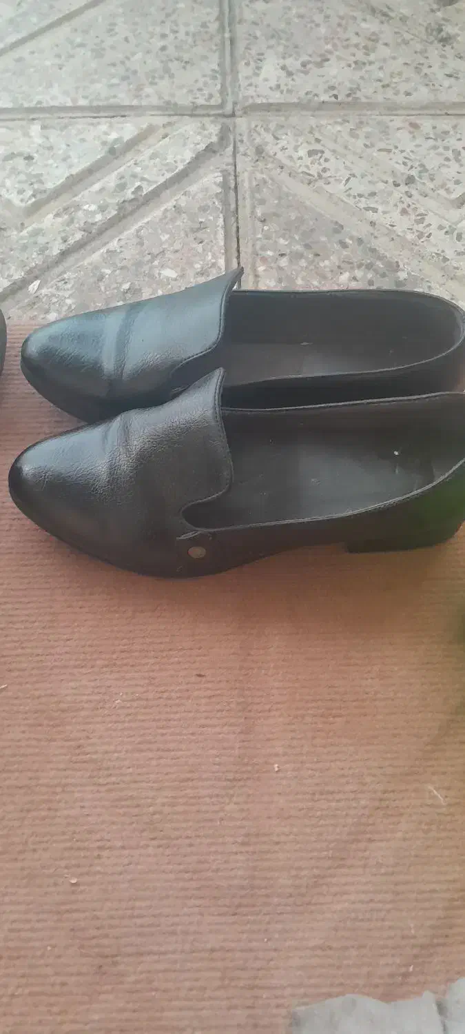 کفش زنانه|کیف، کفش، کمربند|یاسوج, |دیوار