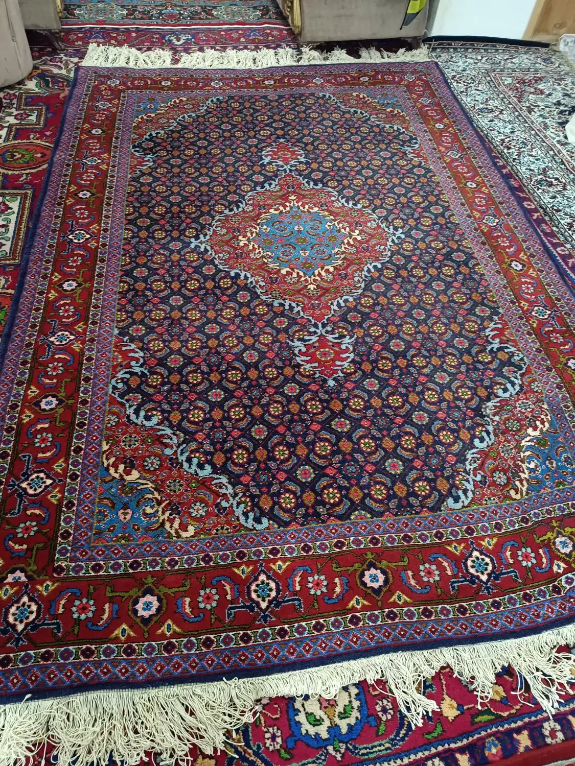 فرش دستباف ۶ متری|فرش|اردبیل, |دیوار