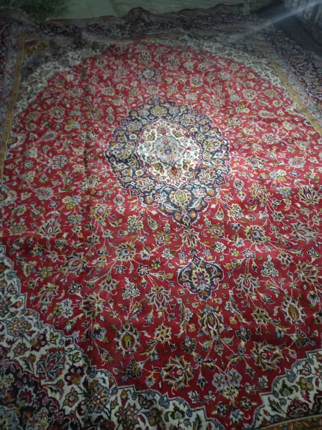 فرش فروشی|فرش|تربت‌حیدریه, هاشمی‌نژاد|دیوار