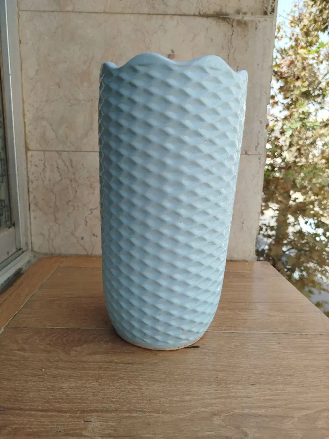 گلدان سفالی بلند|گل و گیاه طبیعی|مشهد, سجاد شهر|دیوار