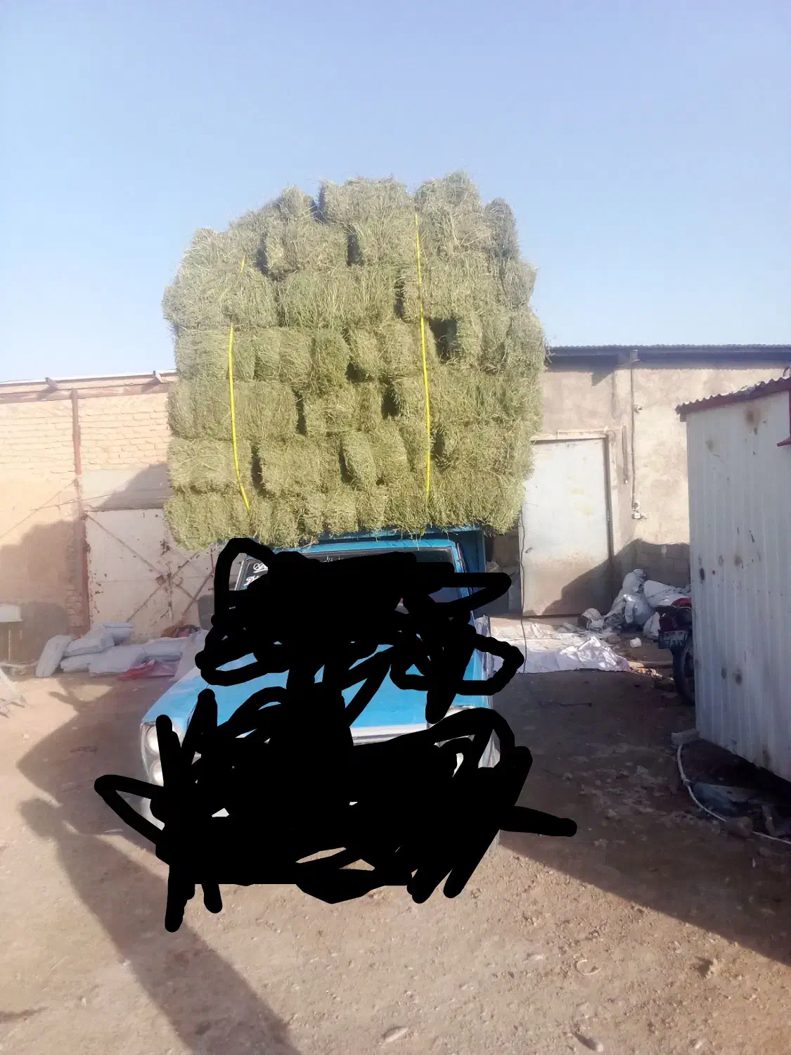 یونجه|حیوانات مزرعه|مشهد, توس فردوسی|دیوار