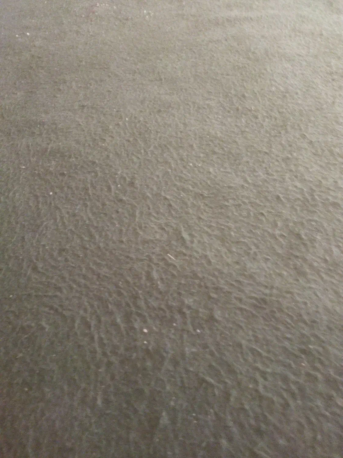 کودگوسفند|خدمات باغبانی و درختکاری|خانمیرزا, |دیوار