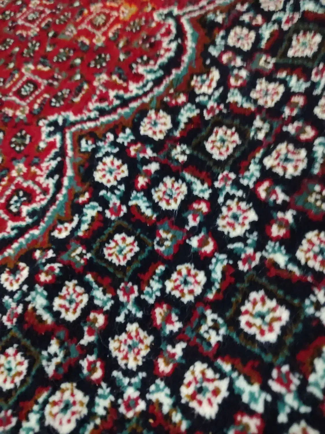 دنبال کار میگردم در ترکیه یا عراق|خدمات باغبانی و درختکاری|سلماس, |دیوار